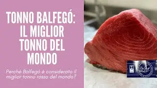 IL MIGLIOR TONNO ROSSO DEL MONDO
