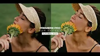 Trending hdr effect in premiere pro || HDR 4K QUALITY || TUTORIAL WISE