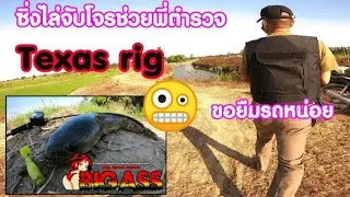 ตกปลาอยู่ดีๆต้องมาซิ่งไล่จับโจรช่วยตำรวจ #Texas_rig ตกปลาช่อนยามบ่าย