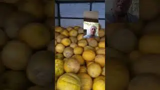 превезли диню додому