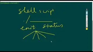 Do You Know Why Exit Status Is Important In Shell Script