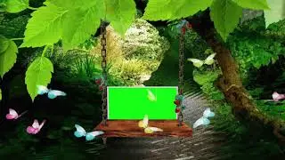 New Wedding Green Screen Effect Video Free Download 