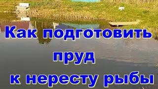 Как подготовить свой пруд к нересту рыбы. Строим пруд в деревне часть 23.
