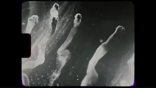 Tymek - Dobry film