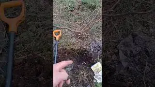 Старинный напёрсток