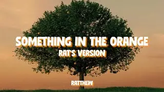 something in the orange - rat's version