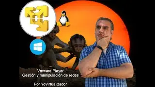 Gestión de redes en Vmware Player en Windows y Linux. Primera configuración