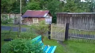 Пение птиц в деревне в 3 часа утра