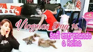 ( Vlogmas day 16) Sofi entrenando a nuestra (mini poodle!! )