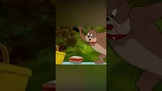 Tom y Jerry en Latino | Un pícnic perfecto 🧺 | #shorts | @WBKidsLatino​