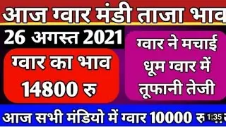 aaj ke gvar ka bhav /today gvar bhav / mndi ki boli live