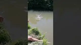 Словил ОГРОМНУЮ ЧЕРЕПАХУ