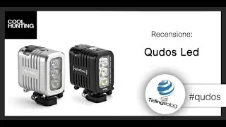Qudos Action Knog. | Recensione |  Tidingsblog.com