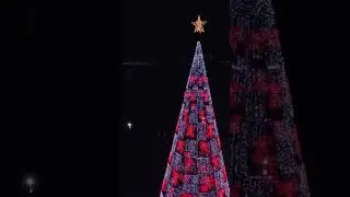 My Brain VS My Heart fighting over the Christmas tree I want 