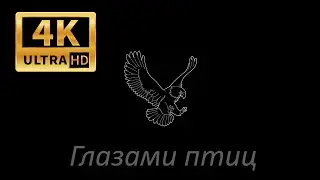 Релакс. часть 2.