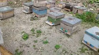 2025 arıları için hazırlıklara başlama zamanı.