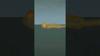 Dead asleep 5 (Part 2)