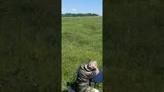 дтк