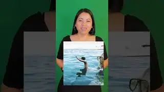 3 fotos que no son lo que parece 🤯 