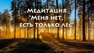 Медитация: "Меня нет, есть только лес"