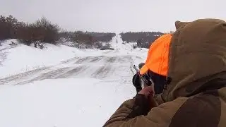 Intention to Hunt Pigs 