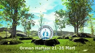 Orman Haftası ( Tevfik Emin Başarır İlkokulu )
