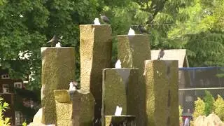 Crows on Fountain. Вороны на фонтане (2448sp)