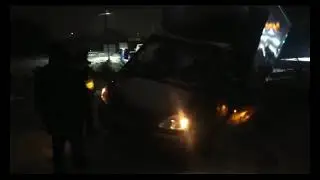 Спасение длинной газели