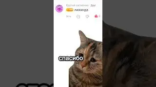 @alekwelcome привет #рекомендации