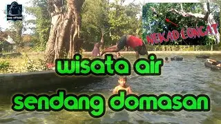 wisata air sendang domasan (7sumber mata air desa prawoto) part 1