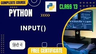 python input function 