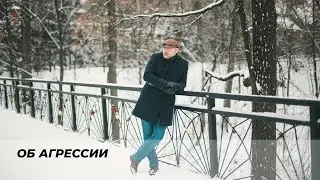 Об агрессии