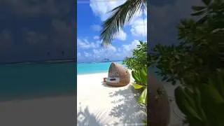 На Мальдивы БЕСПЛАТНО #подпишись #Мальдивы #путевка