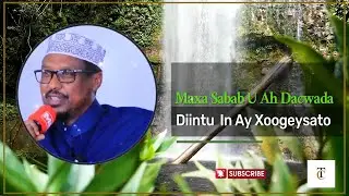 Sameynta naqshadaha guriyasha