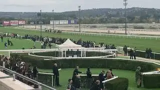 CARRERA DE CABALLOS EMOCIONANTE
