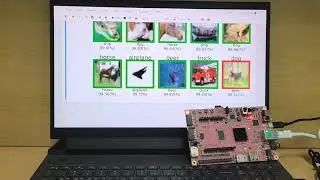 BiNPU demo video