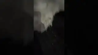 кольский полуостров