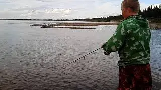 Бешеный клев язя на Печоре