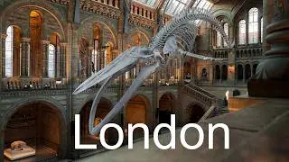 Top Things to Visit in London: Your Ultimate Guide to Must-See Attractions