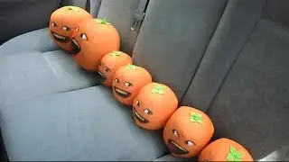 The Stupid Orange In All Aboard The Amtrak Train