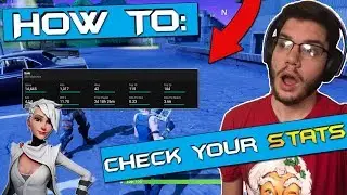 FORTNITE: BATTLE ROYALE - HOW TO CHECK ALL YOUR STATISTICS!