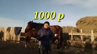Что нужно для лошади.