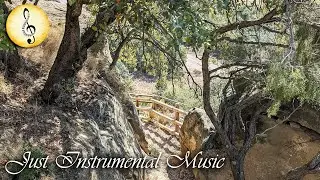 A Stroll through a Holm Oak Forest in the Countryside 🌳 Just Instrumental Music Shorts