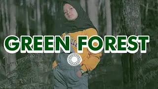 Green Forest VSCO Tutorial || VSCO Preset