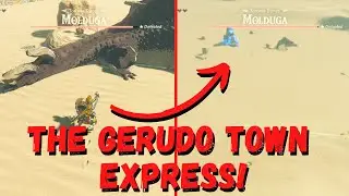 The FASTEST way to travel in Breath of the Wild!