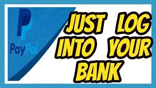Scammer Found My Fake Bank Account