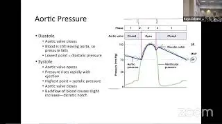 A&P Lecture