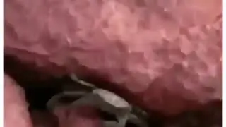 Threatening crab | lol