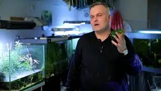 Телеканал 