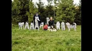 Прямой эфир с 10 голодными 